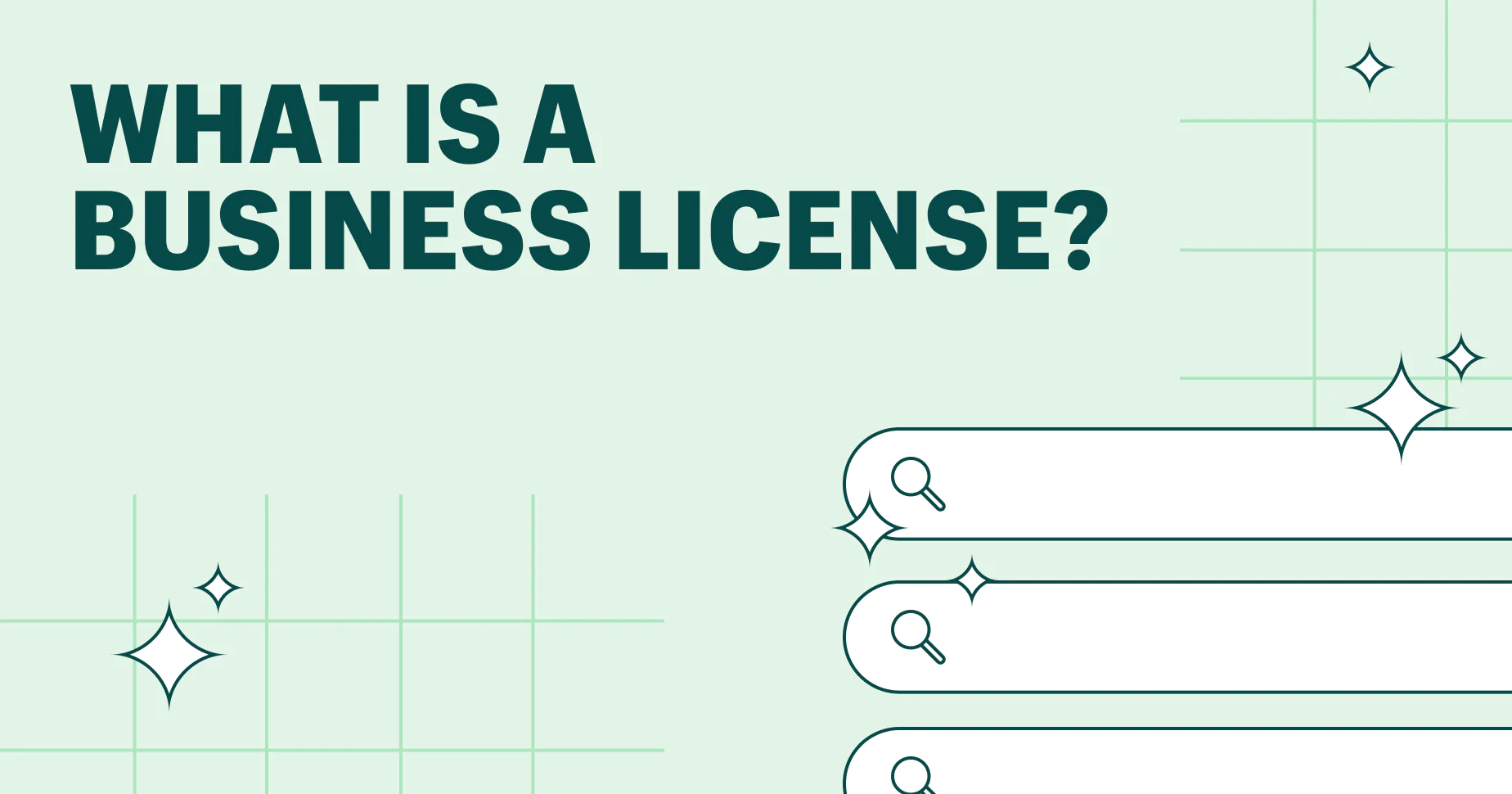 What is a Business License