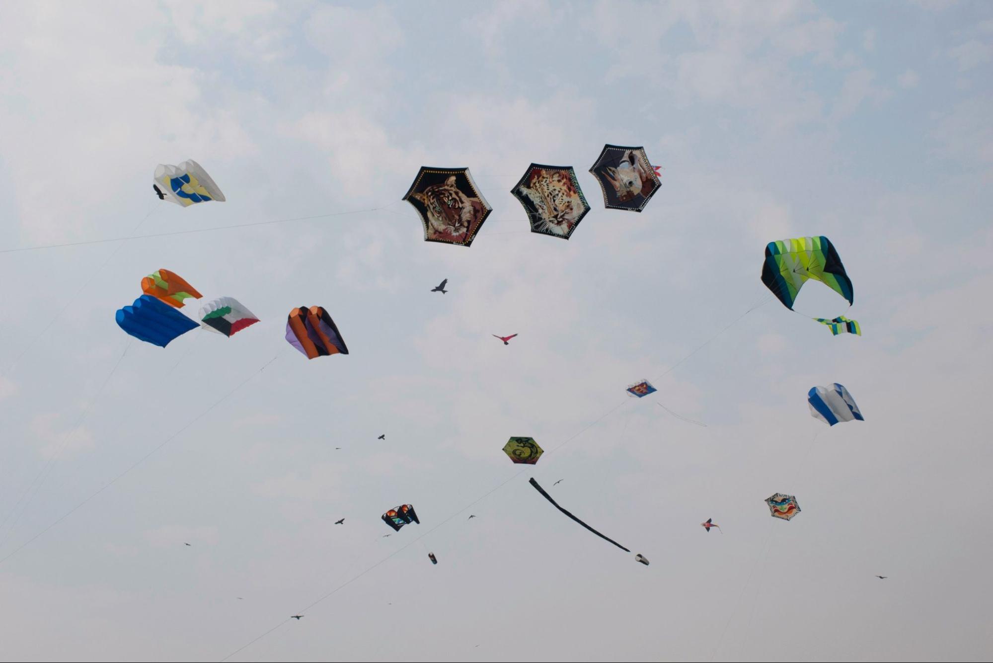 International Kite Festival at Sabarmati Riverfront, Ahmedabad, Gujarat, India
