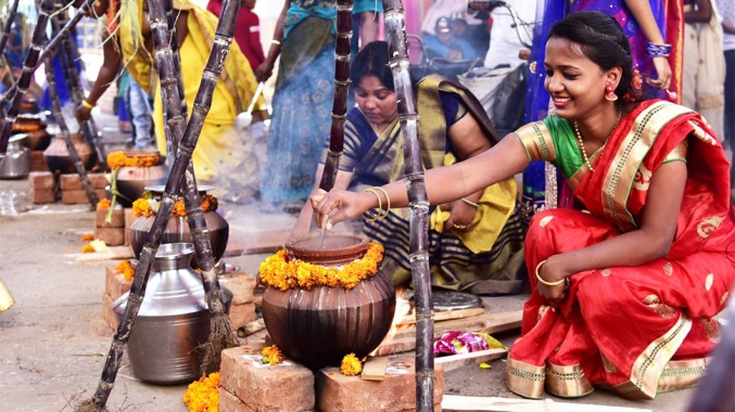 Pongal Festival in Tamil Nadu